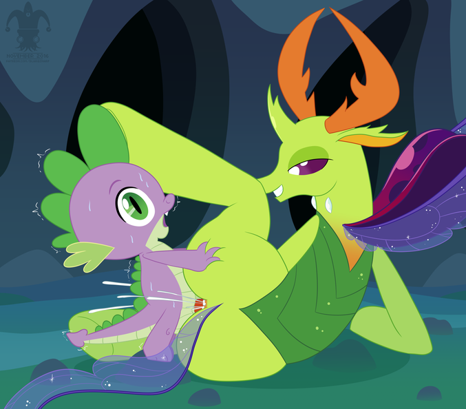 fin_mlp_thorax_2.png
