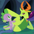 fin_mlp_thorax_2.png